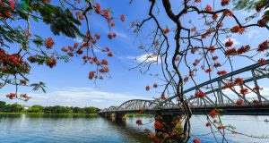 Kinh nghiệm du lịch Huế