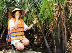 Rừng dừa bảy mẫu ở đâu, giá vé bao nhiêu, đi thế nào? Rừng dừa bảy mẫu – Hội An