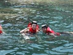 Hướng dẫn du lịch Cù Lao Chàm, Hội An Lăn ngắm san hô Cù Lao Chàm