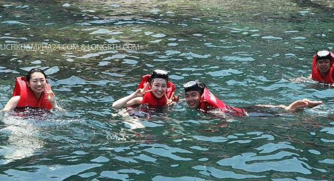 Hướng dẫn du lịch Cù Lao Chàm, Hội An Lăn ngắm san hô Cù Lao Chàm